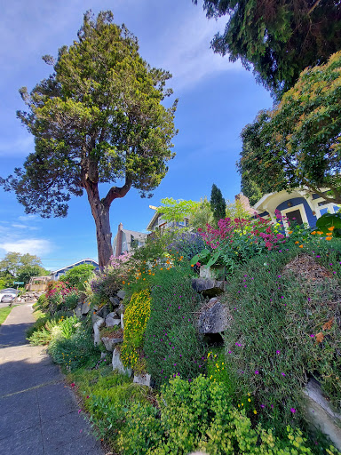 Park «Colman Park», reviews and photos, 1800 Lake Washington Blvd S, Seattle, WA 98144, USA