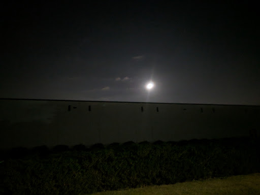 Freight Forwarding Service «UPS Supply Chain Solutions», reviews and photos, 490 Supreme Dr, Bensenville, IL 60106, USA