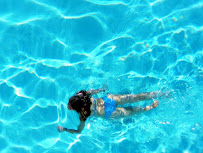 The Tropical pool company - Photo 7 - Car repair in Elyria, OH, Lorain