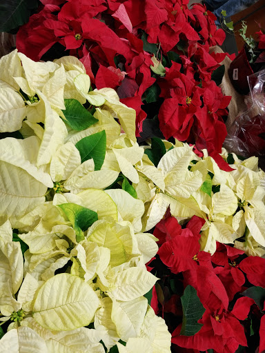 Home Improvement Store «The Home Depot», reviews and photos, 1873 Dixwell Ave, Hamden, CT 06514, USA