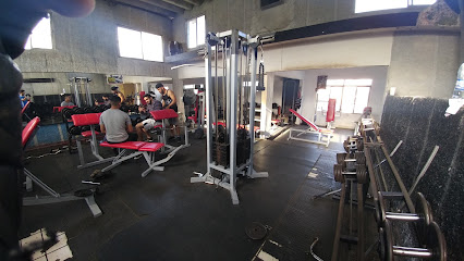 Roma Gym Power House