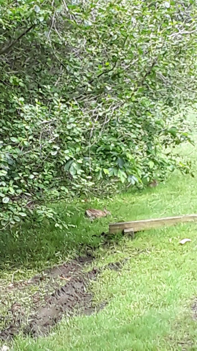 Country Club «Walpole Country Club», reviews and photos, 233 Baker St, Walpole, MA 02081, USA