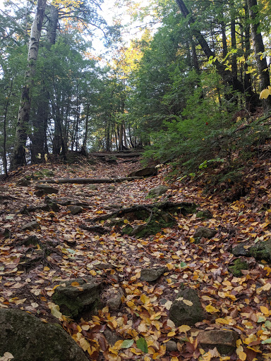 Coffee Shop «Starbucks», reviews and photos, 509 Main St, Saco, ME 04072, USA