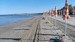 Spiaggia cani Puntone di Scarlino'in fotoğrafı geniş bir kıyı şeridi ile birlikte