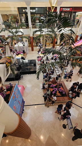 Apple South Coast Plaza image