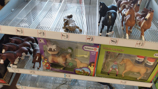 Home Improvement Store «Tractor Supply Co.», reviews and photos, 100 W Ardice Ave #1, Eustis, FL 32726, USA