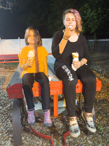 Ice Cream Shop «Twistee Treat», reviews and photos, 7449 Laredo Dr, Hudson, FL 34667, USA