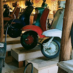 Photo n°4 de l'avis de Sun'sPraiserSince2k11. fait le 18/08/2021 à 16:18 sur le  Il Selvatico à Fosdinovo