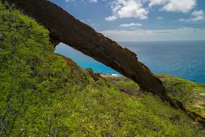 Koko Crater Arch Trail image