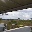 Myakka Wildlife Tours