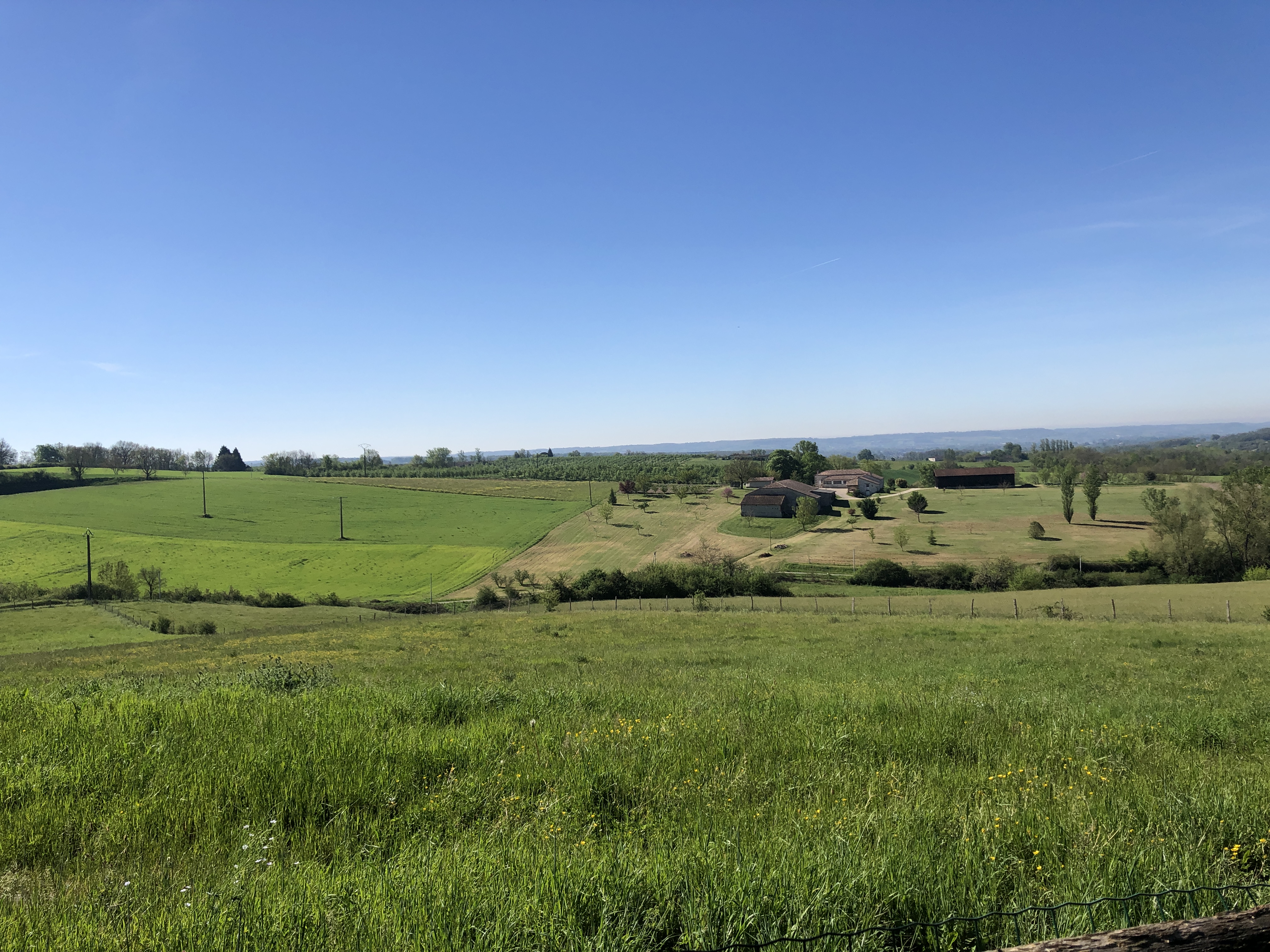 Photo n° 1 de l'avis de Laure.A fait le 02/01/2022 à 18:47