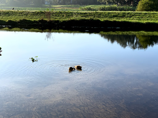 Park «Cliff Stephens Park», reviews and photos, 600 Fairwood Ave, Clearwater, FL 33759, USA