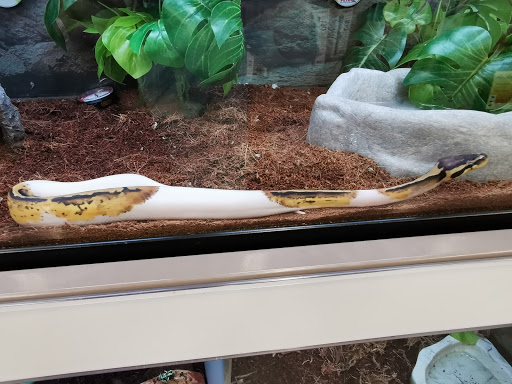 Pet Supply Store «Petco Animal Supplies», reviews and photos, 3426 Highland Ave B, National City, CA 91950, USA