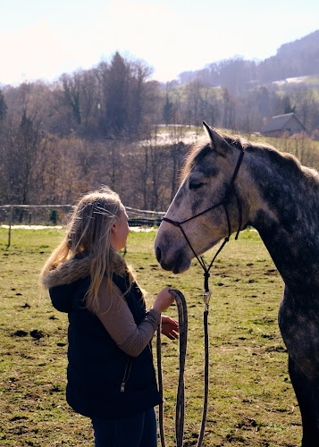 IBF Equicoaching à Theys