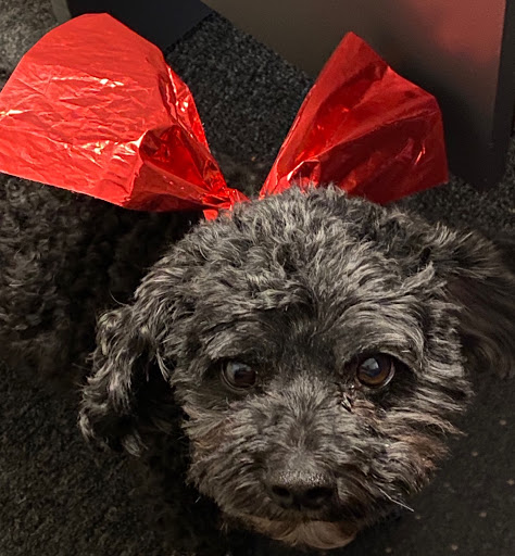 Ford Dealer «Maplecrest Ford of Mendham», reviews and photos, 102 E Main St, Mendham, NJ 07945, USA