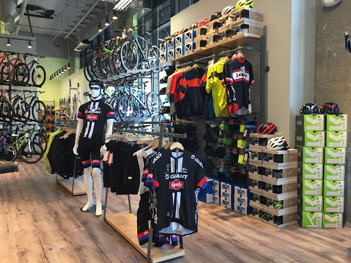 Conte's Bike Shop