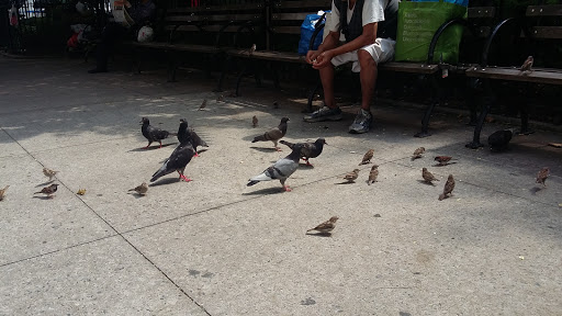 Park «Columbus Park», reviews and photos, 67 Mulberry St, New York, NY 10013, USA