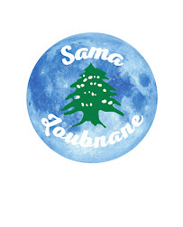 Photos du propriétaire du Restaurant libanais Sama Loubnane à Paris - n°11