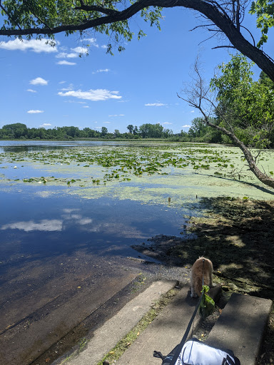 Park «Shawnee Park», reviews and photos, 6515 Scheel Dr, Woodbury, MN 55125, USA