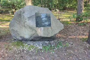 Kamień Zboińskiego image