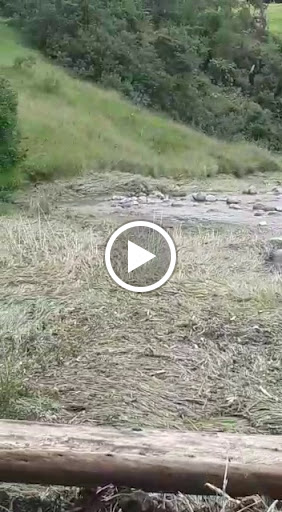 Beauty Supply Store «Hair Plus Wigs Beauty Inc», reviews and photos, 2932 Chicago Ave, Minneapolis, MN 55407, USA