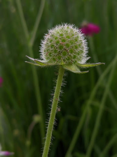 Park «Kirke Park», reviews and photos, 7028 9th Ave NW, Seattle, WA 98117, USA