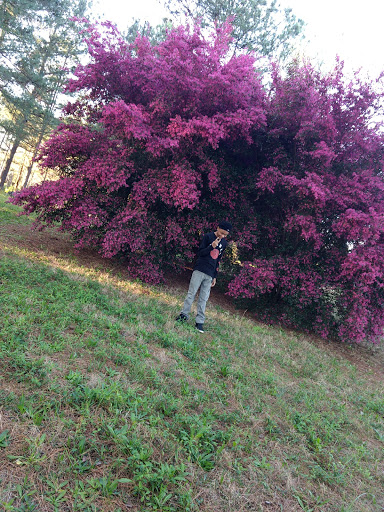 Golf Course «Heron Bay Golf Club», reviews and photos, 5100 Heron Bay Blvd, Locust Grove, GA 30248, USA