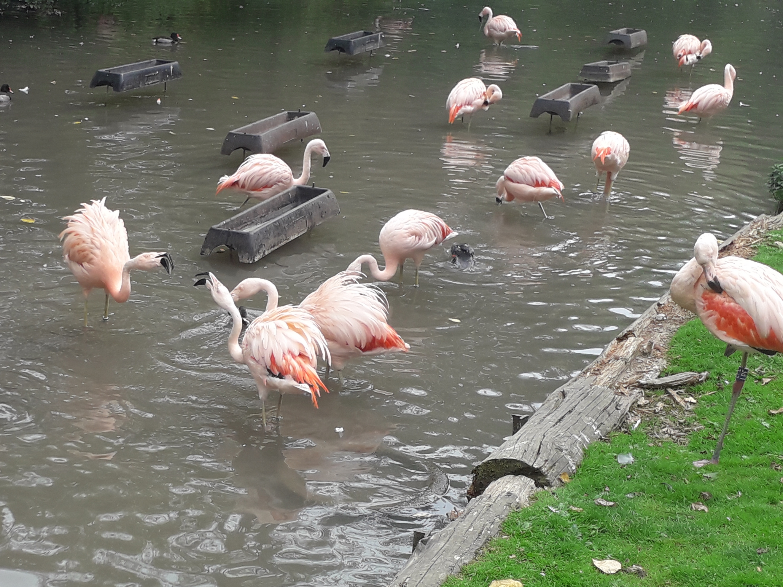 Photo n° 16 de l'avis de lilou.i fait le 19/09/2020 à 16:48