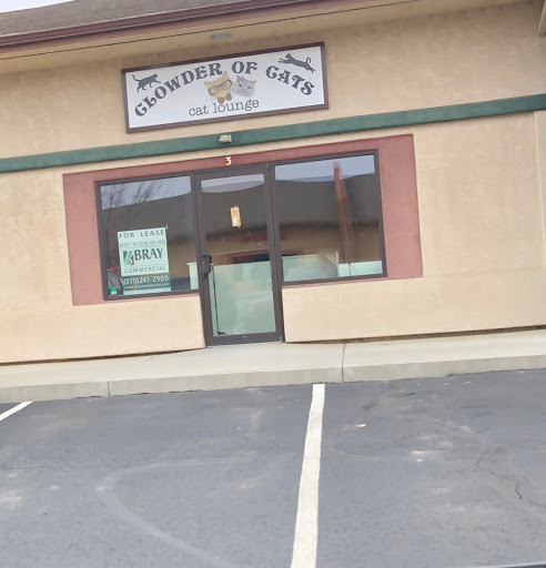 Clowder of Cats: Cat Lounge