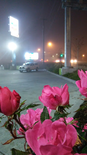 Gas Station «Chevron», reviews and photos, 993 Lawson Ave, Woodburn, OR 97071, USA