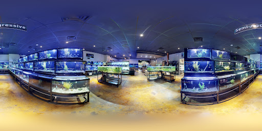 Tropical Fish Store «Fish Gallery», reviews and photos, 2909 Fountain View Dr, Houston, TX 77057, USA