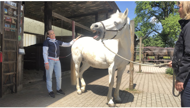 Tier Shiatsu Schule