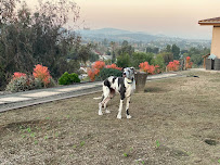 Wet Nose Villa - Photo 4 - Car repair in , Chula Vista