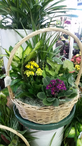 Garden Center «Pike Nurseries», reviews and photos, 615 W Crossville Rd, Roswell, GA 30075, USA