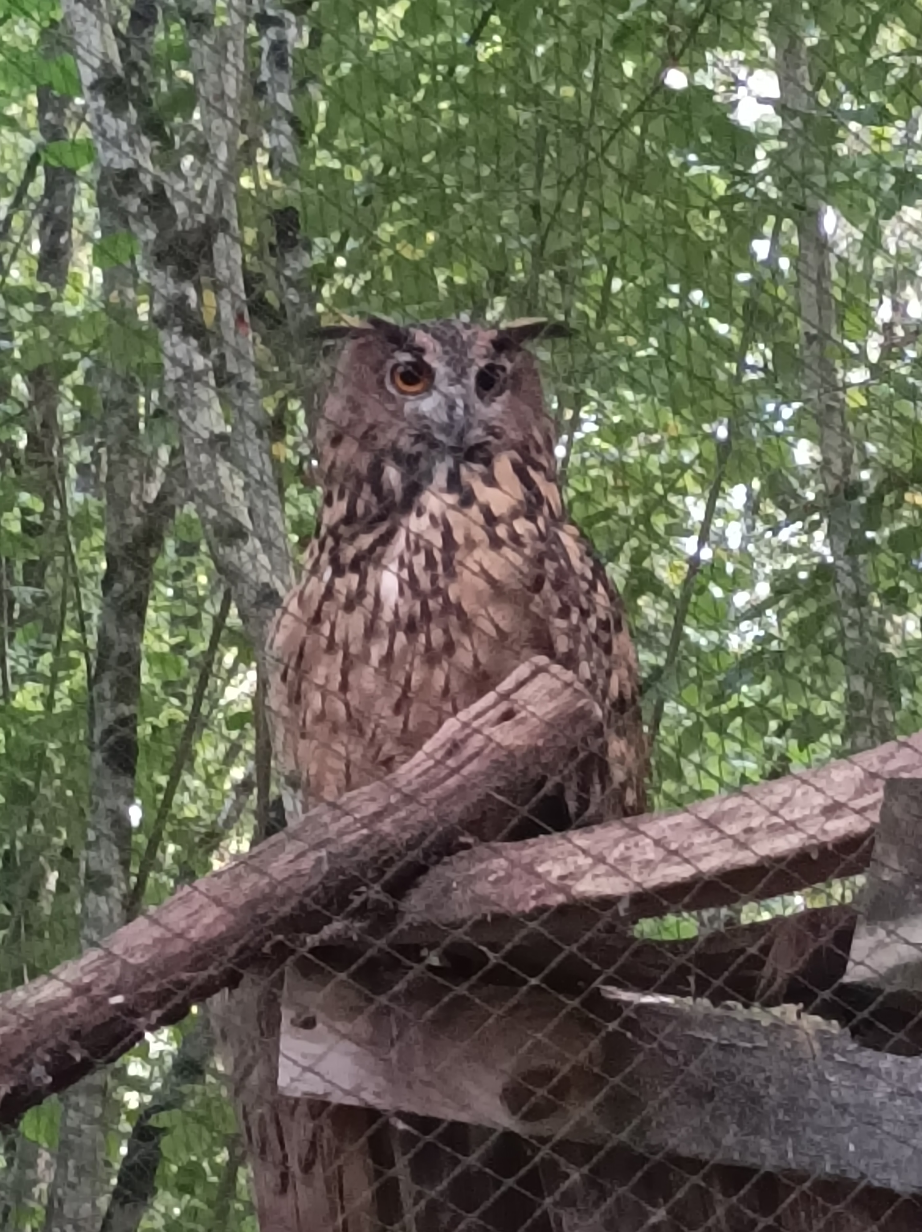 Photo n° 5 de l'avis de Helene.a fait le 28/07/2023 à 16:10