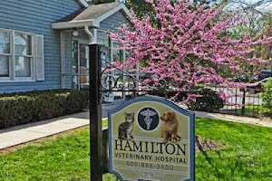 Hamilton Veterinary Hospital