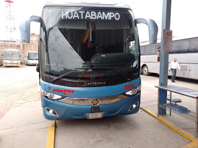 ALBATROS AUTOBUSES NAVOJOA