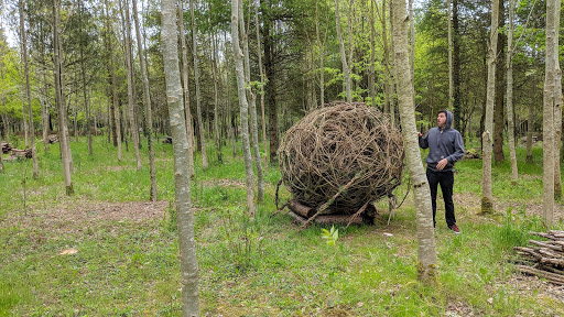 Movie Theater «Coolidge Corner Theatre», reviews and photos, 290 Harvard St, Brookline, MA 02446, USA