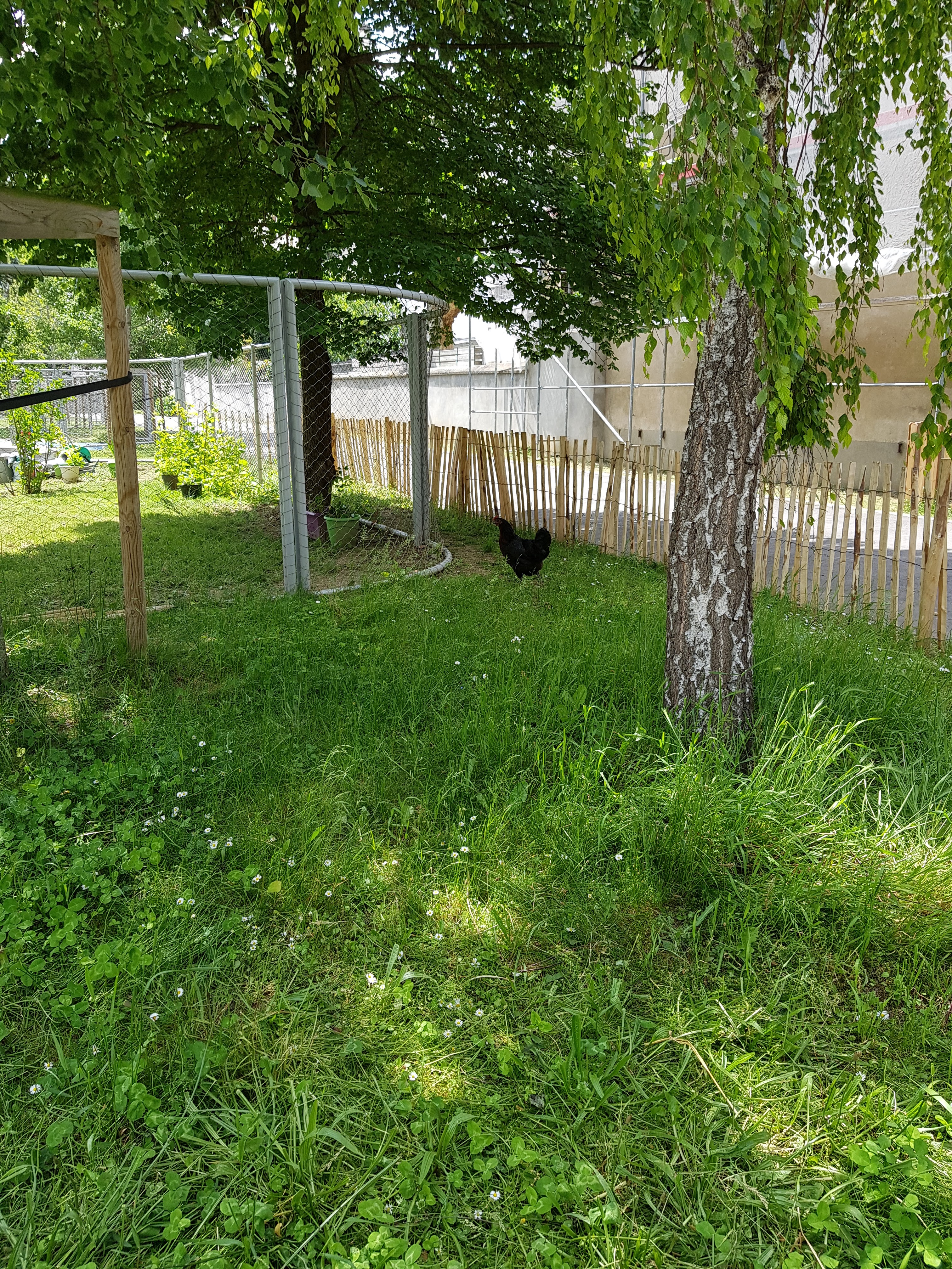 Photo n° 29 de l'avis de Jean-Marie.I fait le 27/05/2019 à 15:25