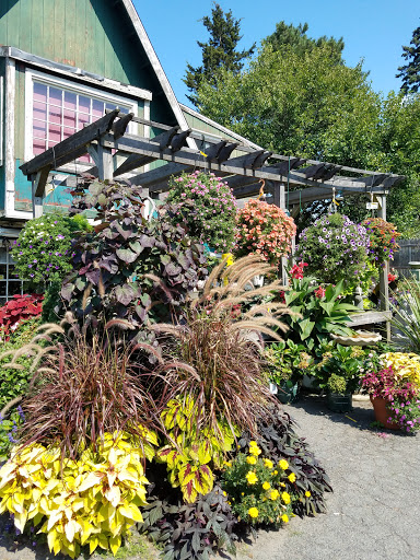 Florist «Butler Florist & Garden Center», reviews and photos, 416 Park Rd, West Hartford, CT 06119, USA