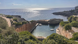 Torre di Novaglie Beach'in fotoğrafı vahşi alan