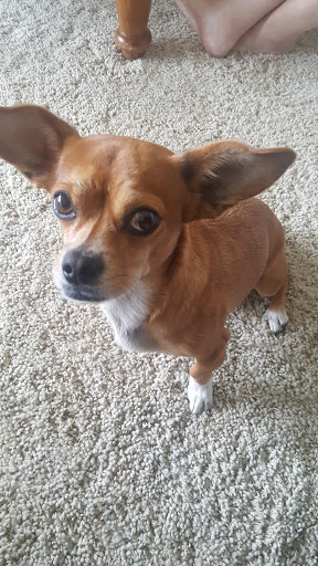 Golf Club «TalonsCove Golf Club», reviews and photos, 2220 S TalonsCove Dr, Saratoga Springs, UT 84045, USA