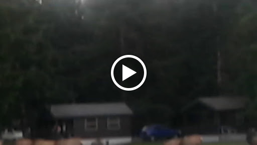 General Store «Brinnon General Store», reviews and photos, 306413 US-101, Brinnon, WA 98320, USA