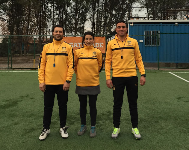 Escuela de Fútbol Peñarol - Campo de fútbol