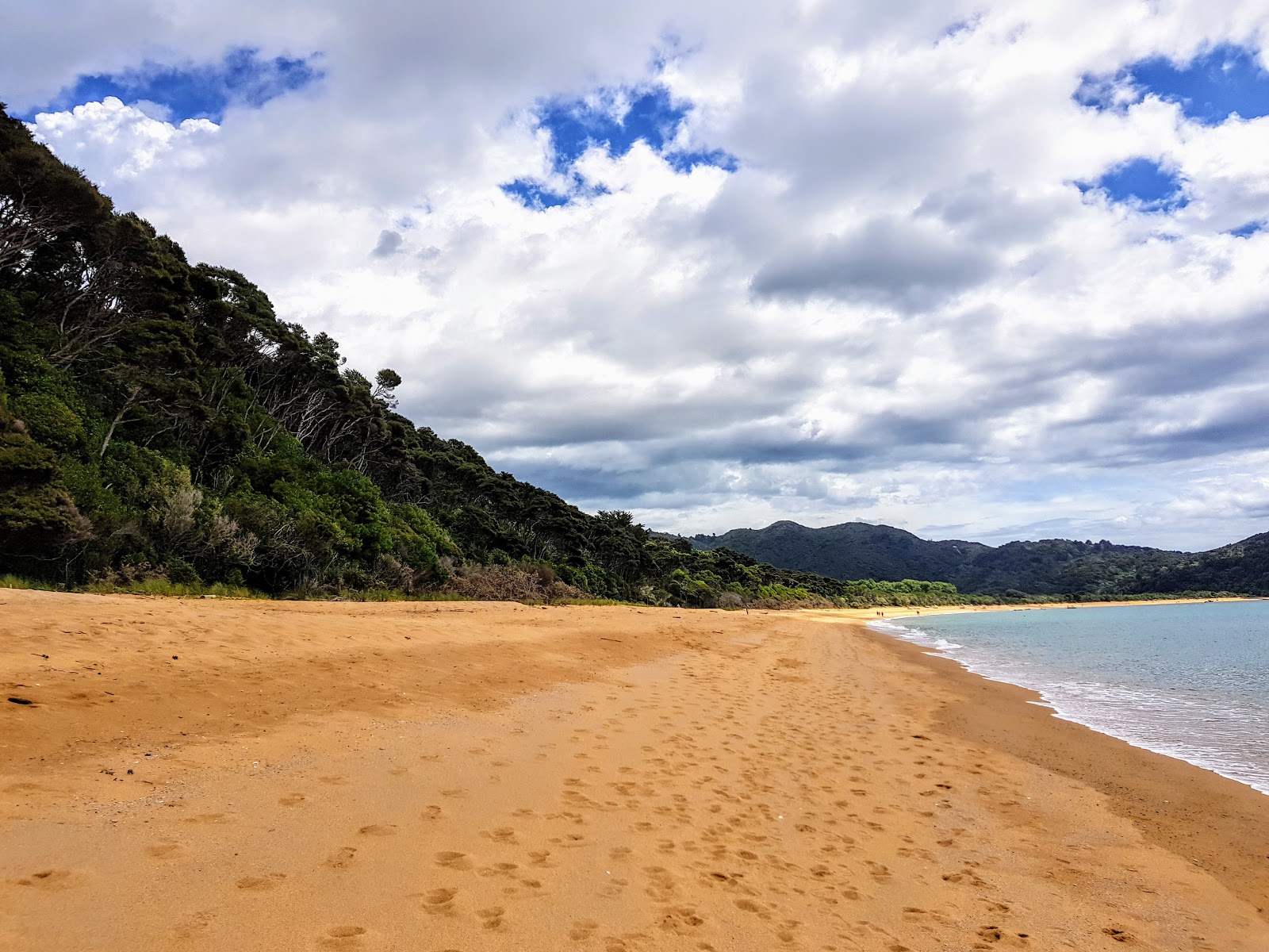 Totaranui Beach的照片 带有碧绿色纯水表面