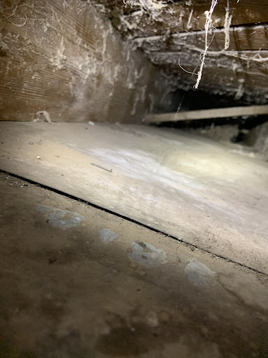 Carpet Cleaning Service «Stanley Steemer of Spokane», reviews and photos, 2710 N Felts Rd, Spokane, WA 99206, USA