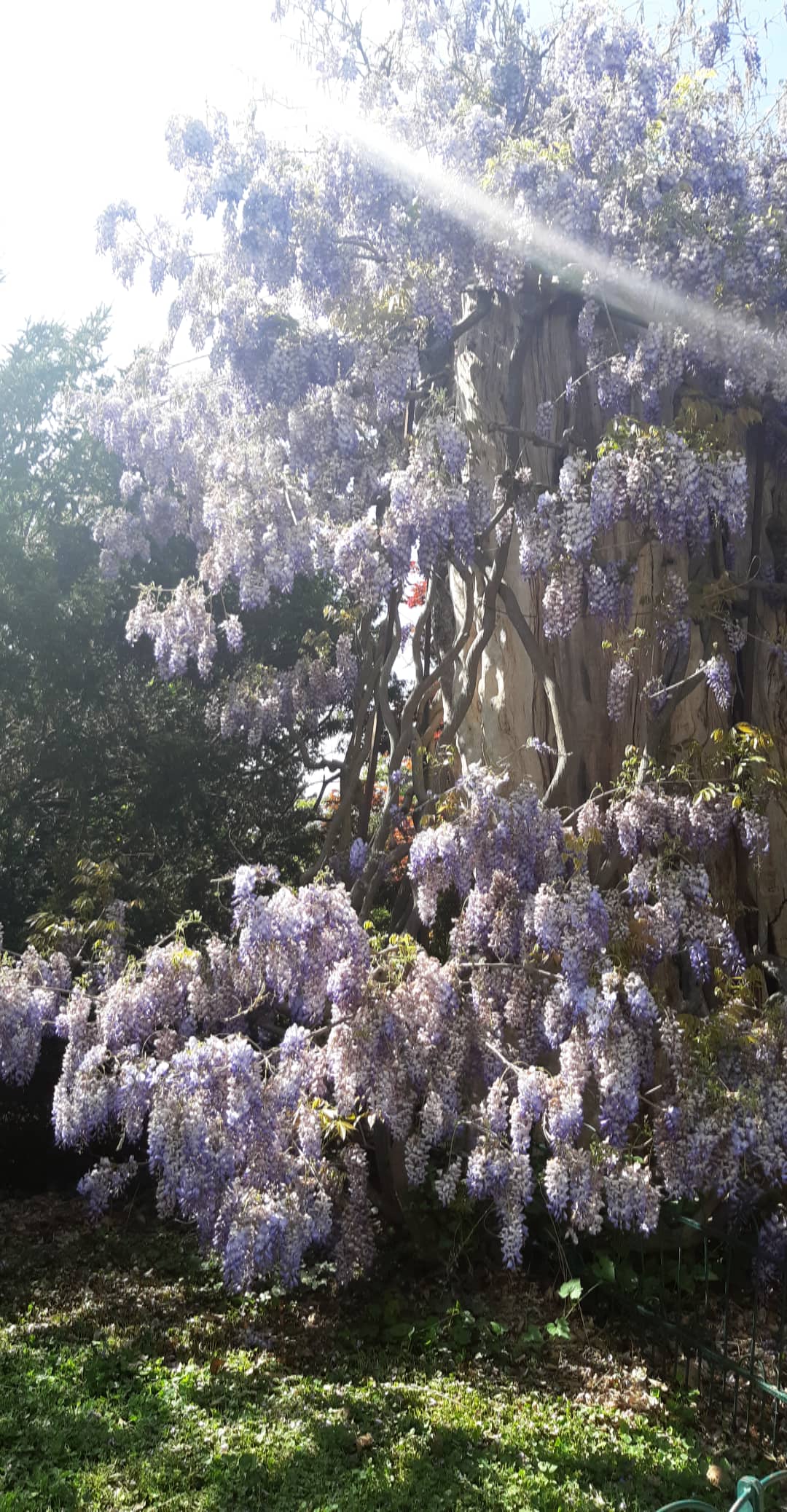 Photo n° 2 de l'avis de Alice.d fait le 01/05/2019 à 14:16