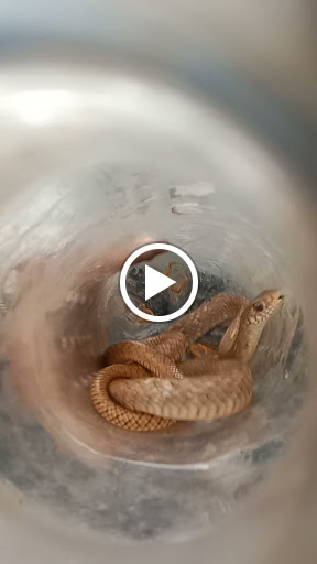 Bank «Bank of America Financial Center», reviews and photos