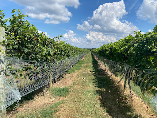 Vineyard «Crow Farm», reviews and photos, 12441 Vansant Corner Rd, Kennedyville, MD 21645, USA