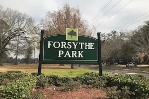 Forsythe Park image